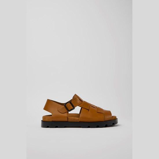 Camper Brutus Sandaler Herre Brune | AYPCZM879