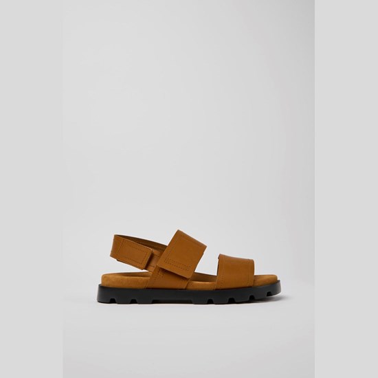 Camper Brutus Sandaler Herre Brune | HXFEAS751